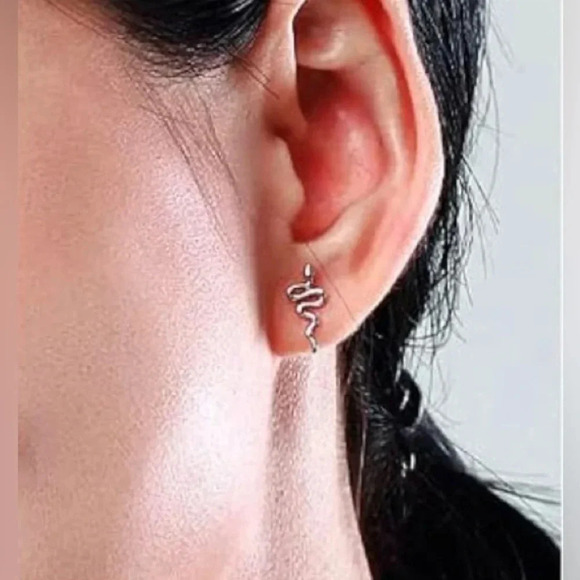 1 LEFT! Mini Silver Snake Stainless Steel Stud Earrings - Picture 3 of 3